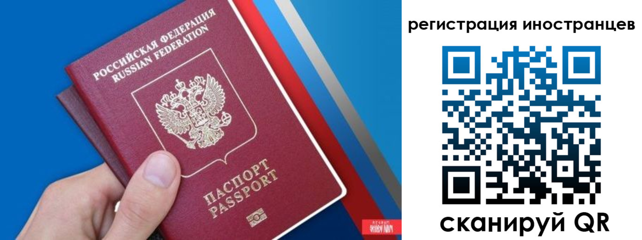 прописка 2025 в Балтийске